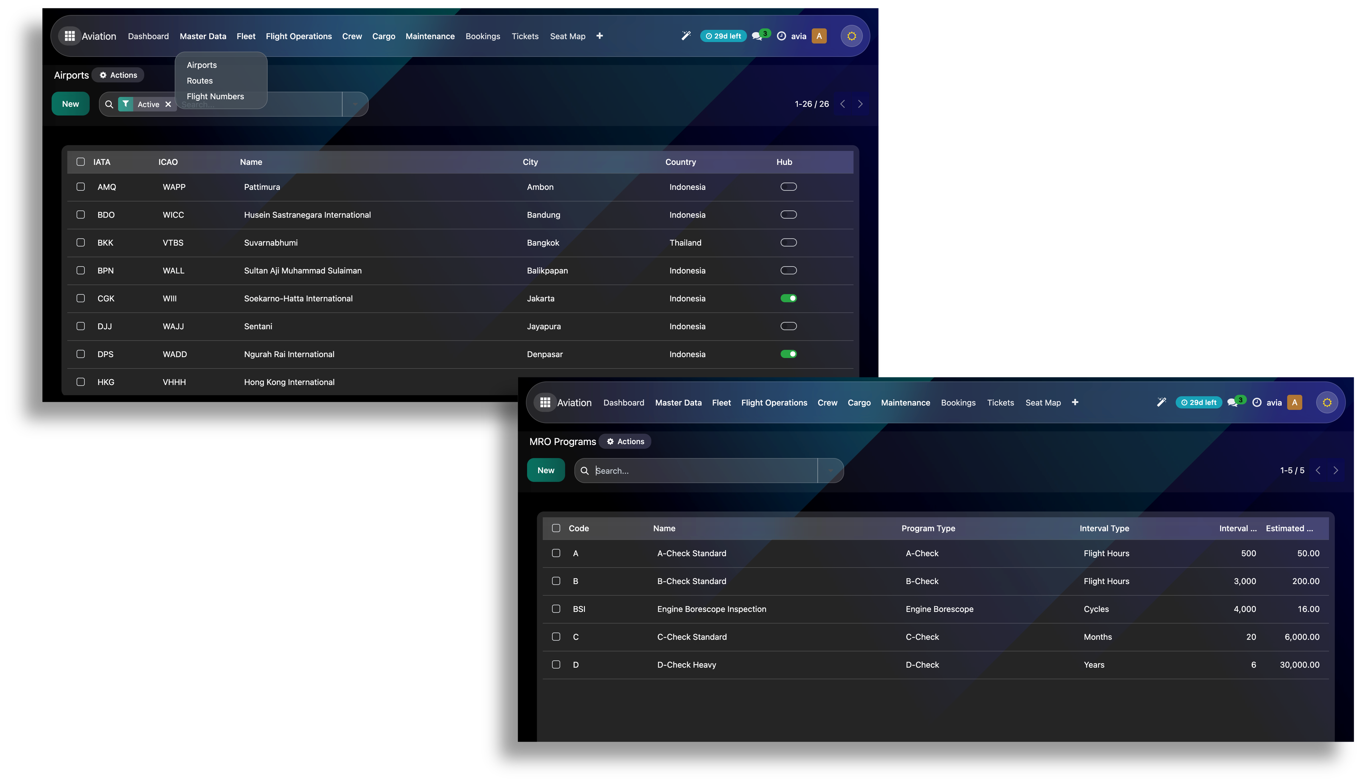 Master Data Penerbangan Screenshot